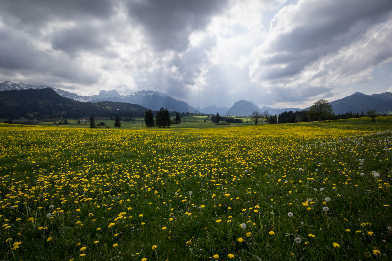 kurz vor dem Regen