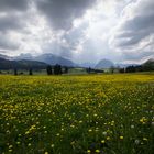 kurz vor dem Regen