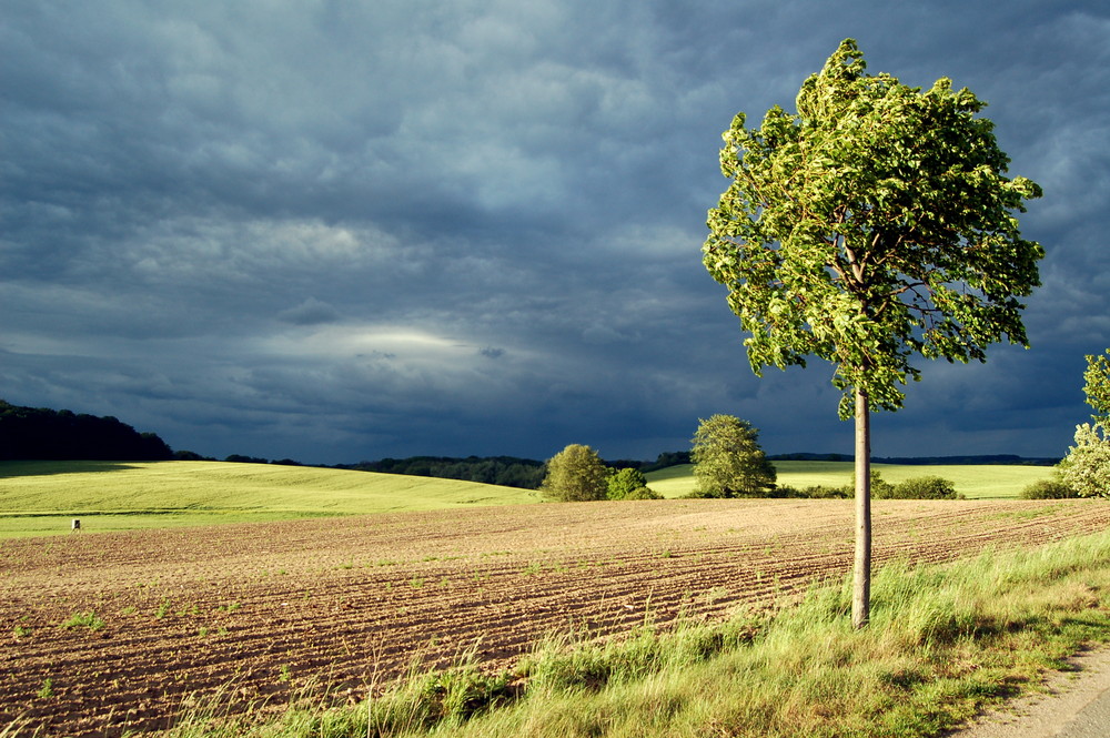 kurz vor dem regen