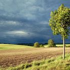 kurz vor dem regen