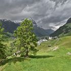 kurz vor dem Regen....