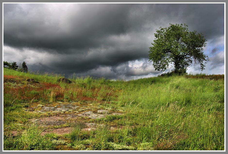 Kurz vor dem Regen