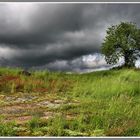 Kurz vor dem Regen