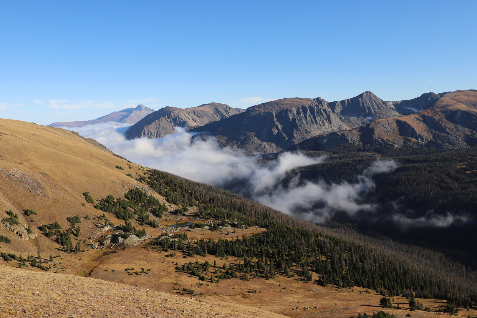 Kurz vor dem Summit der Trail Ridge Road....