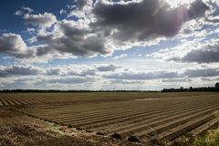 Kurz vor dem Tagebau in Borschemich II