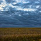 Kurz vor dem Unwetter