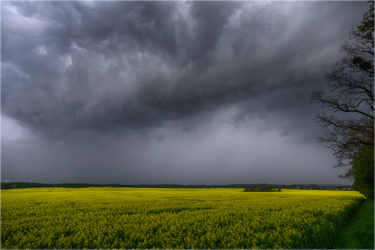 kurz vor dem Unwetter