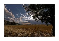 Kurz vor dem Unwetter