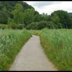 kurz vor dem Unwetter