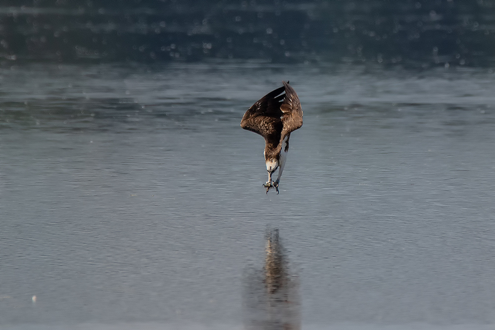 Kurz vor dem Wasser