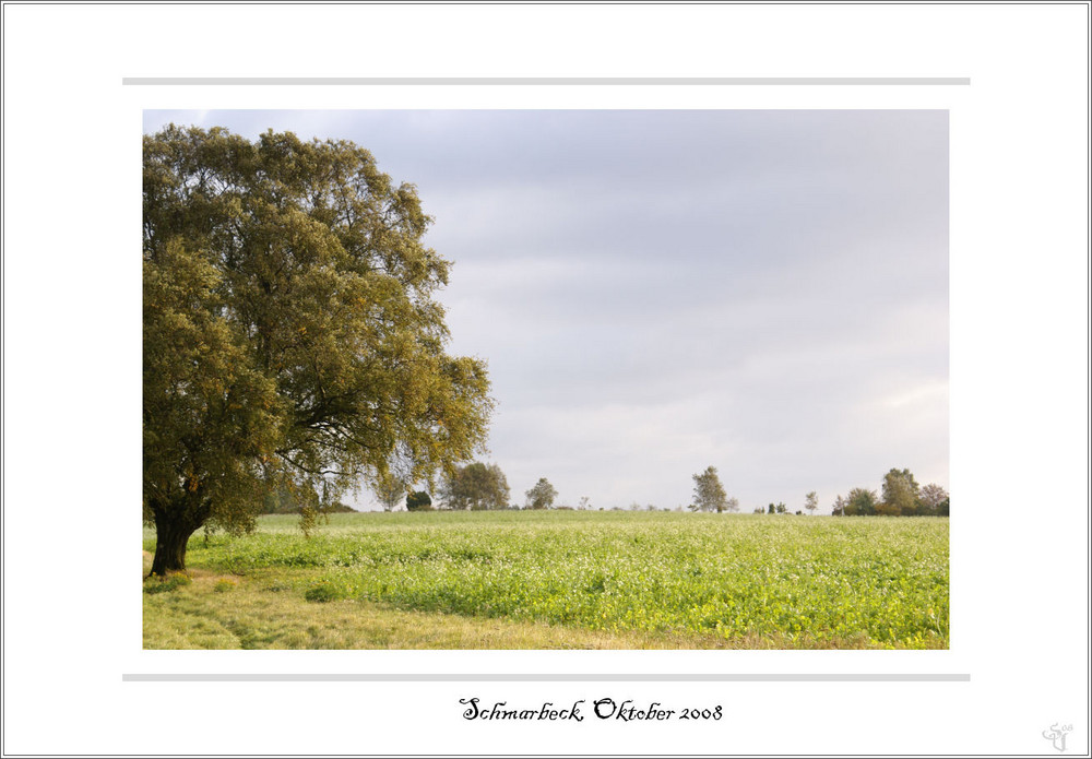 Kurz vor der Heide