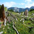 Kurz vor der Vereiner Alm