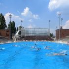 Kurz vor der Wasserball-Europameisterschaft 2014 in Budapest ...