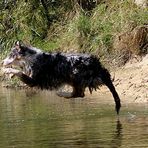 - kurz vor der Wasserung -