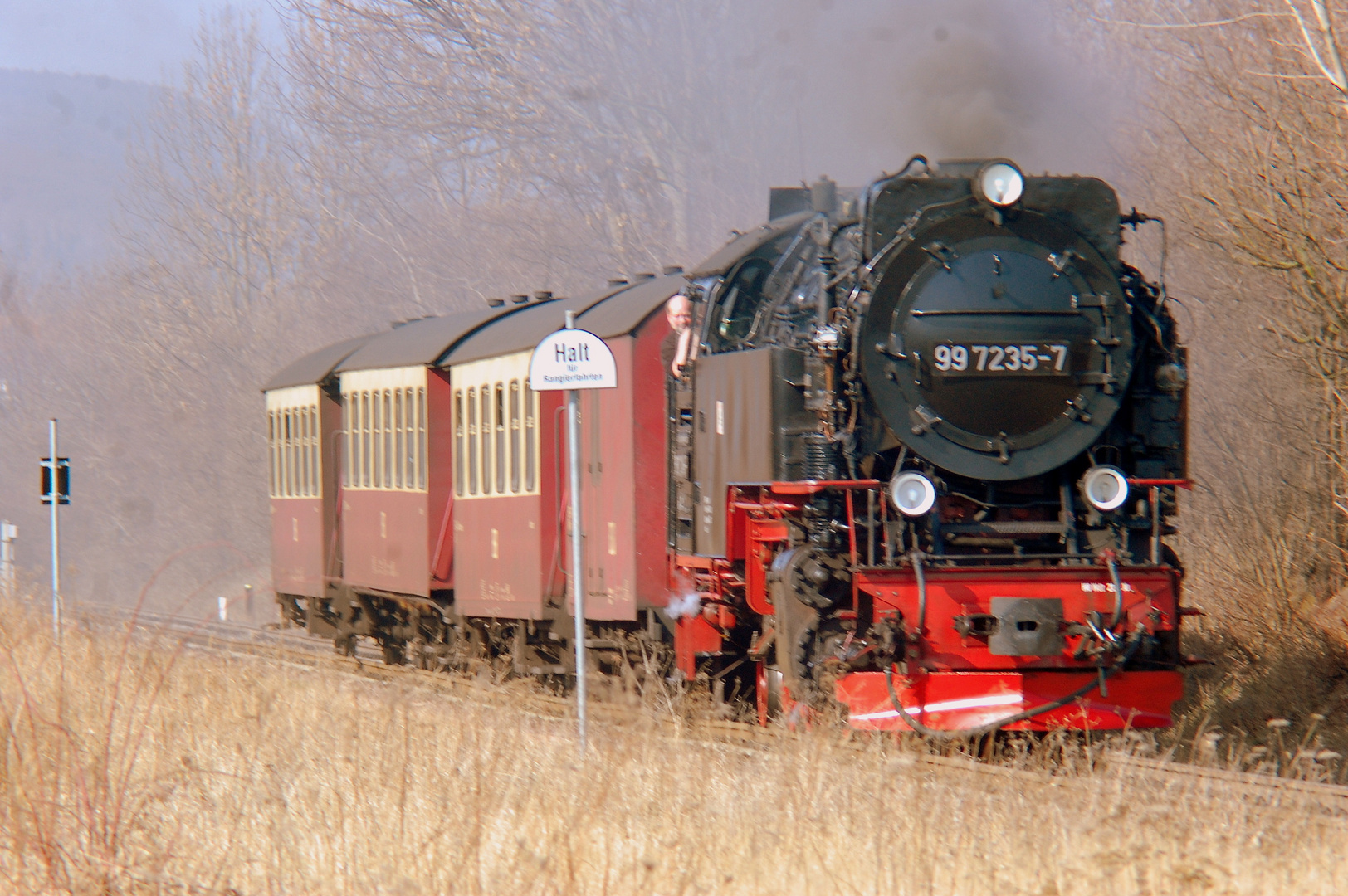 Kurz vor Gernrode/ Harz