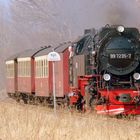 Kurz vor Gernrode/ Harz