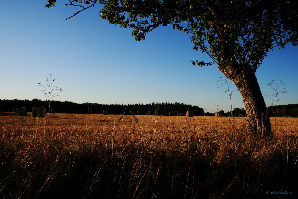 ...kurz vor Herbst...