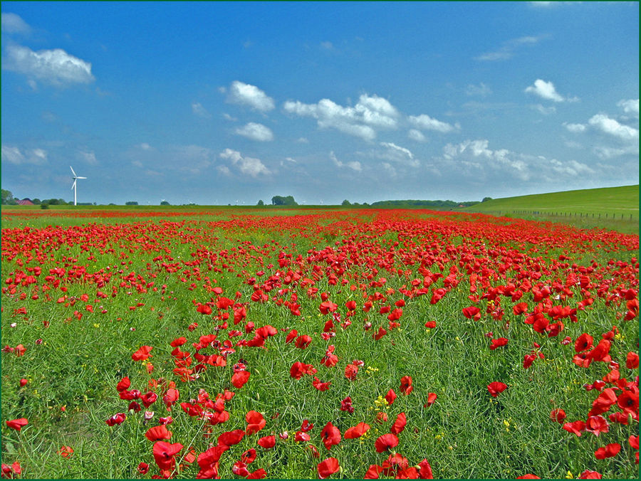 Kurz vor Norddeich