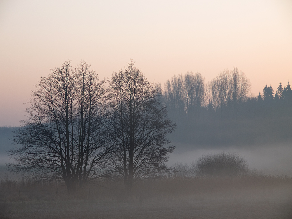 Kurz vor Sonnenaufgang 2