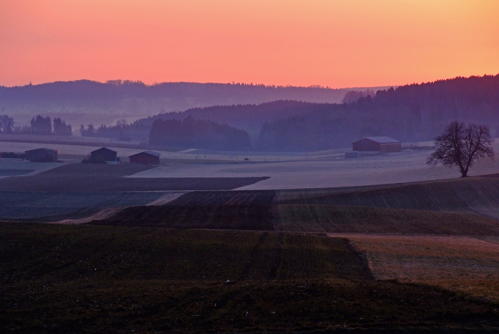 kurz vor Sonnenaufgang...