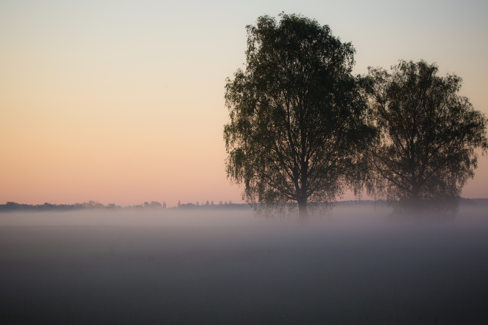 kurz vor Sonnenaufgang