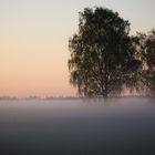 kurz vor Sonnenaufgang