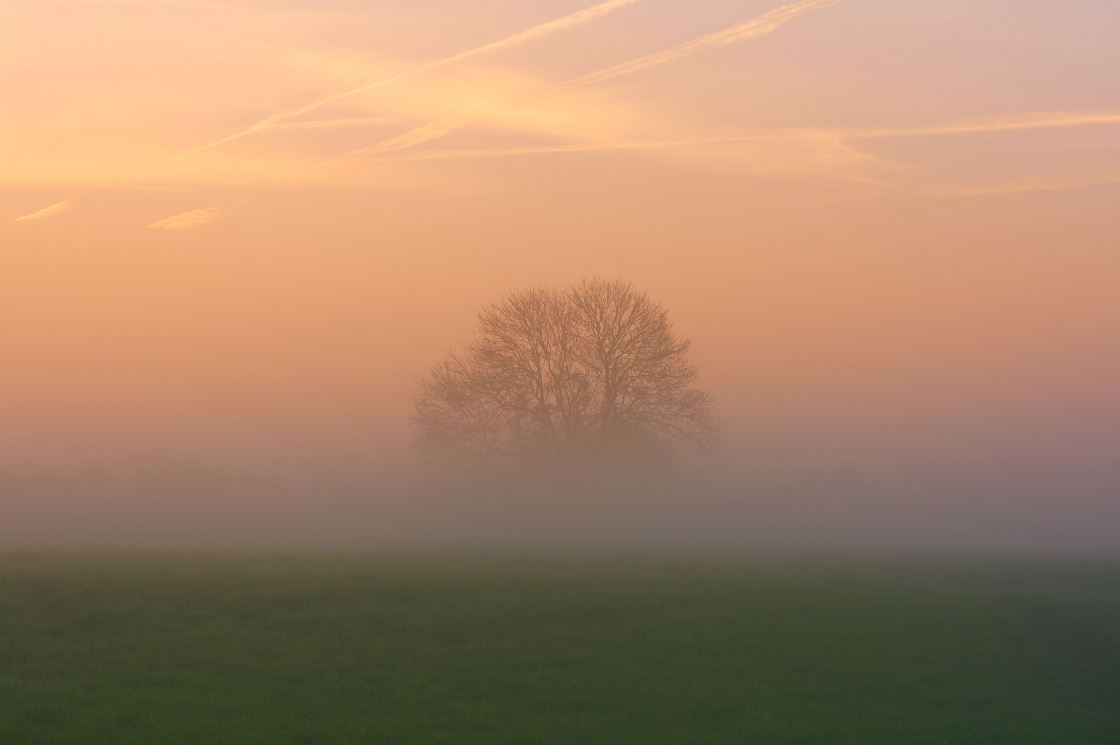 Kurz vor Sonnenaufgang