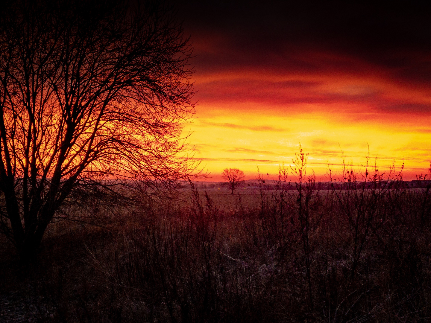 Kurz vor Sonnenaufgang