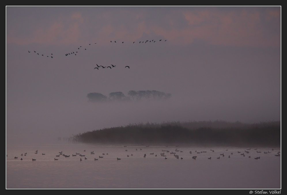 Kurz vor Sonnenaufgang am Bodden