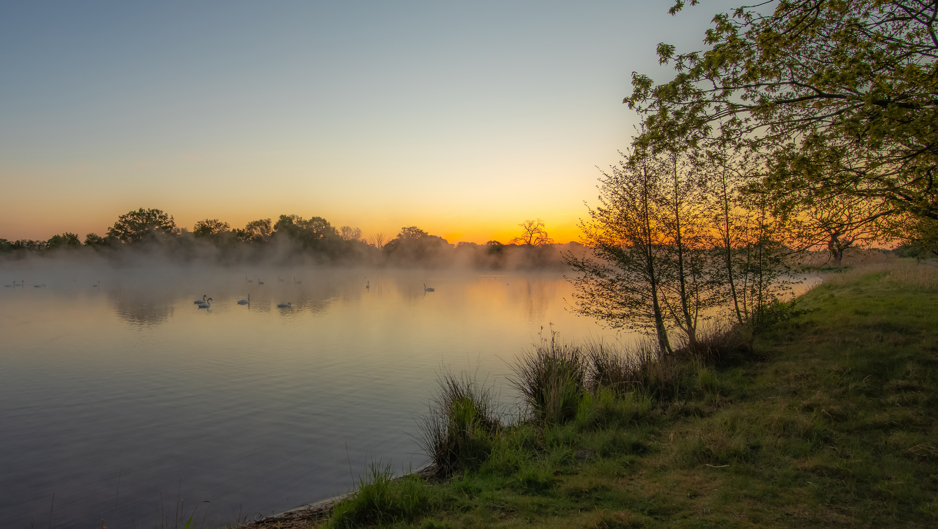 kurz vor Sonnenaufgang am Teich