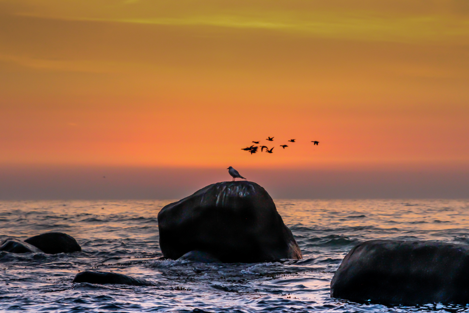 ...kurz vor Sonnenaufgang auf Rügen