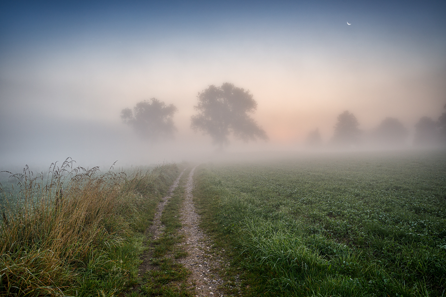 kurz vor sonnenaufgang 