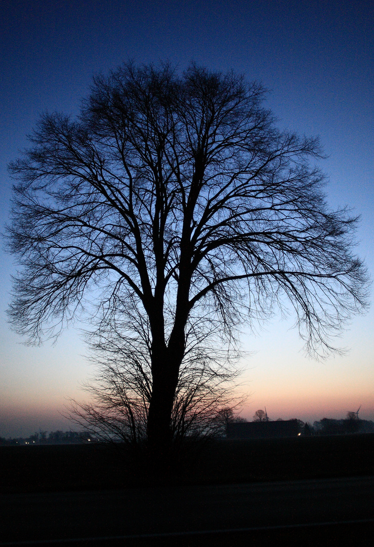 Kurz vor Sonnenaufgang