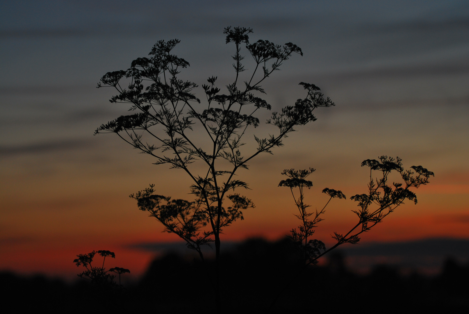 Kurz vor Sonnenaufgang