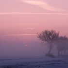 Kurz vor Sonnenaufgang im Winter