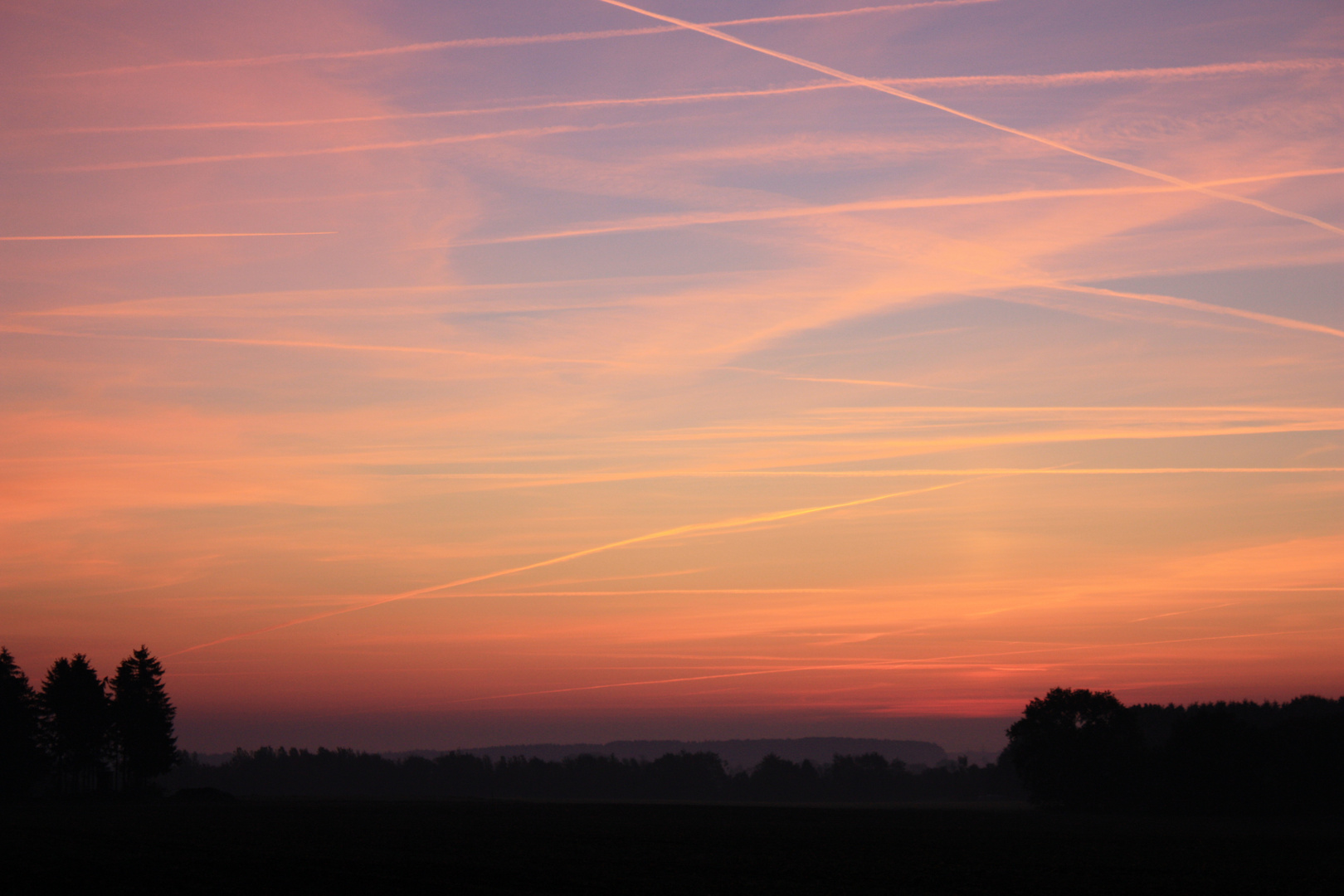 Kurz vor Sonnenaufgang in der Nordheide