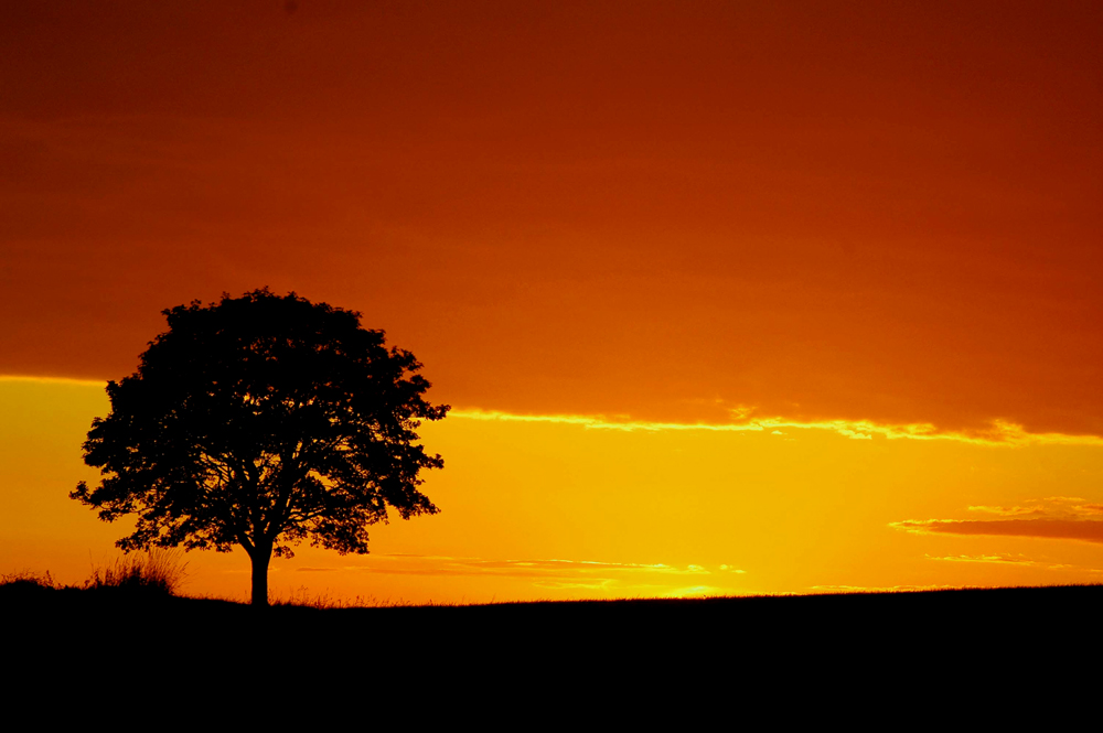 Kurz vor Sonnenuntergang