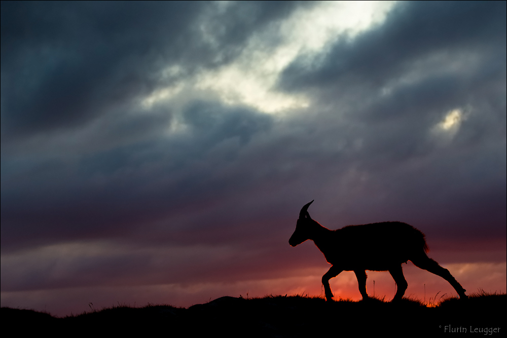 Kurz vor Sonnenuntergang...