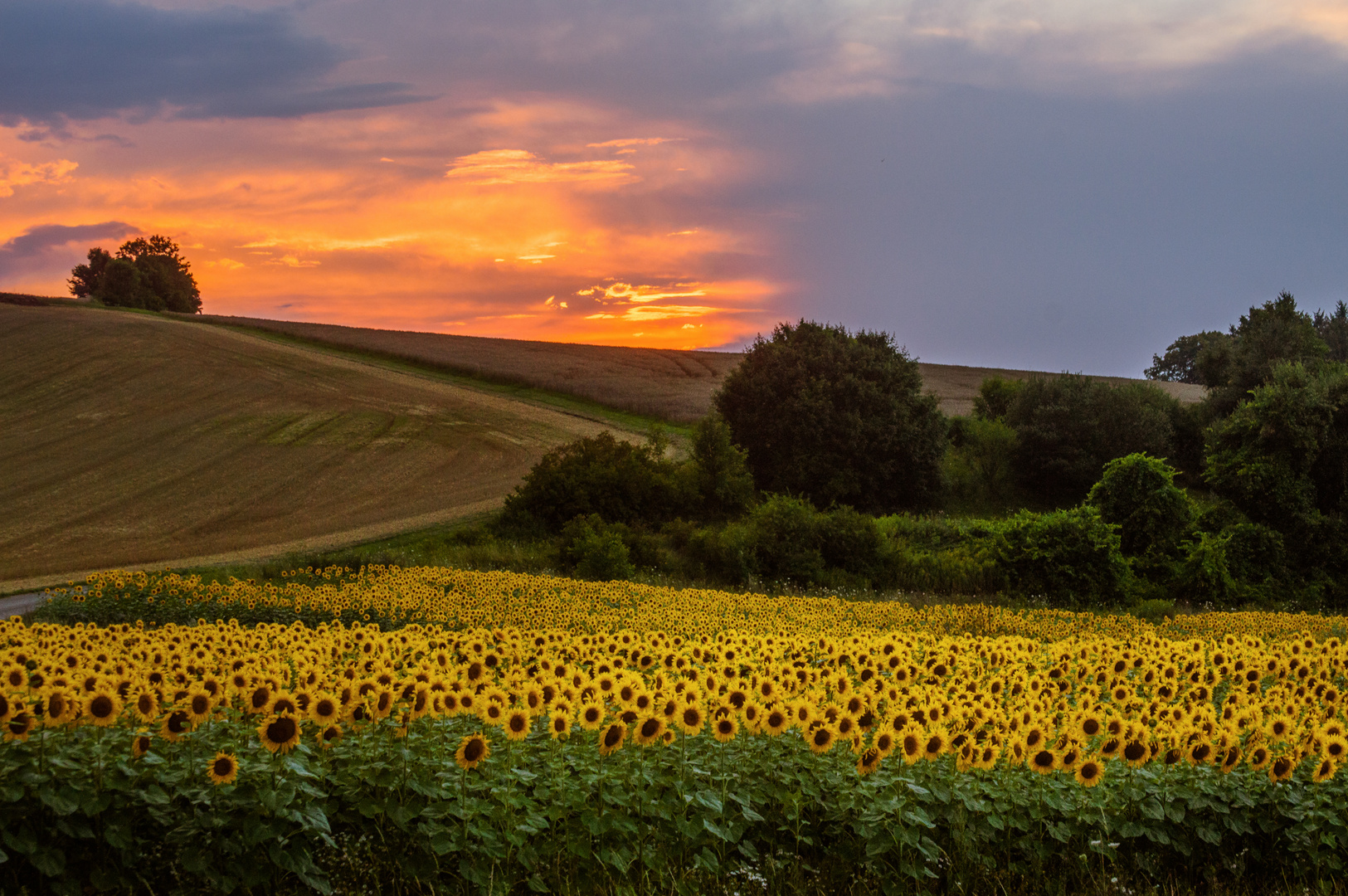 kurz vor Sonnenuntergang