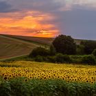 kurz vor Sonnenuntergang