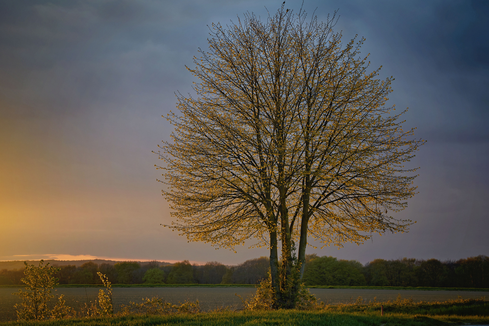 Kurz vor Sonnenuntergang