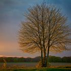 Kurz vor Sonnenuntergang