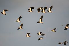 Kurz vor Sonnenuntergang