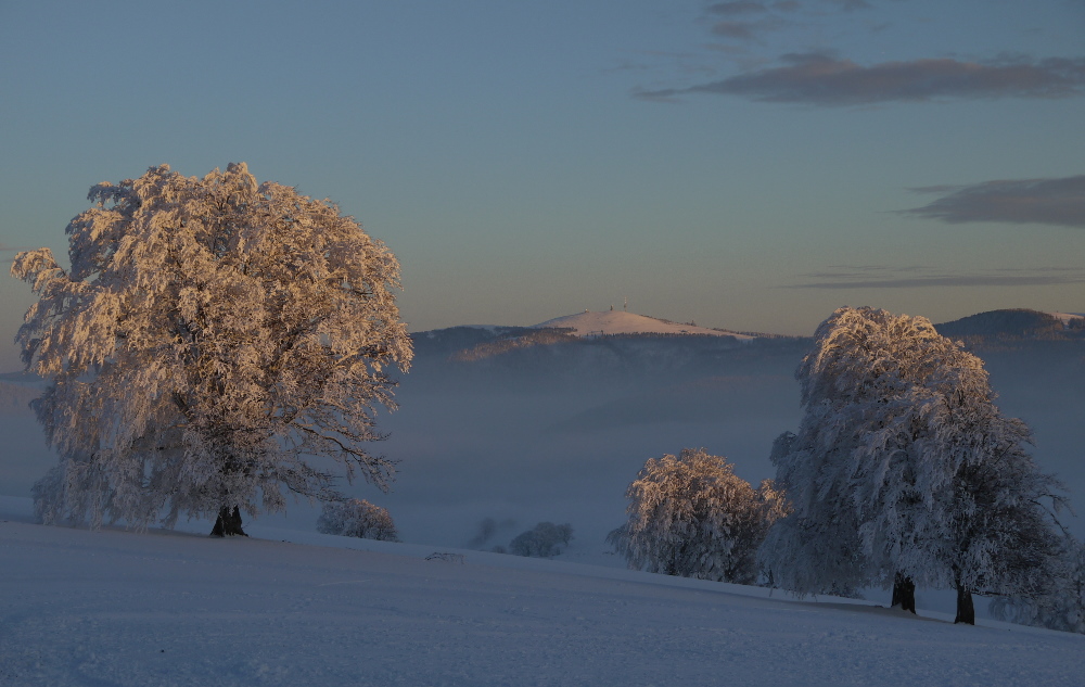 Kurz vor Sonnenuntergang auf dem Schauinsland (Südschwarzwald)