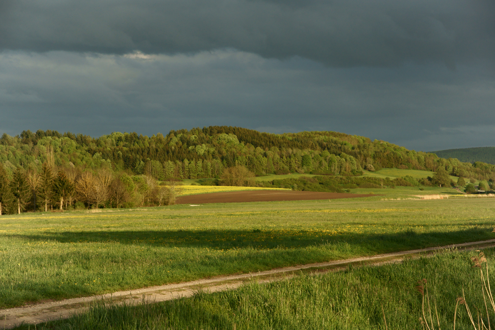 Kurz vor Sonnenuntergang auf der Baar