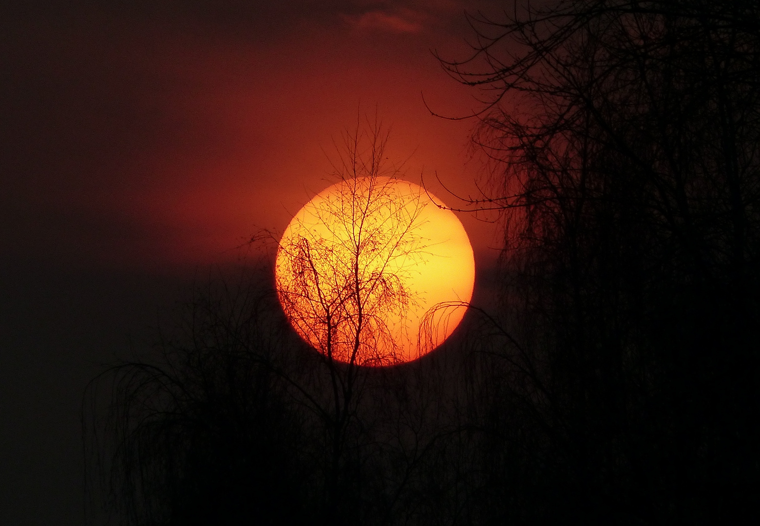 ... kurz vor Sonnenuntergang