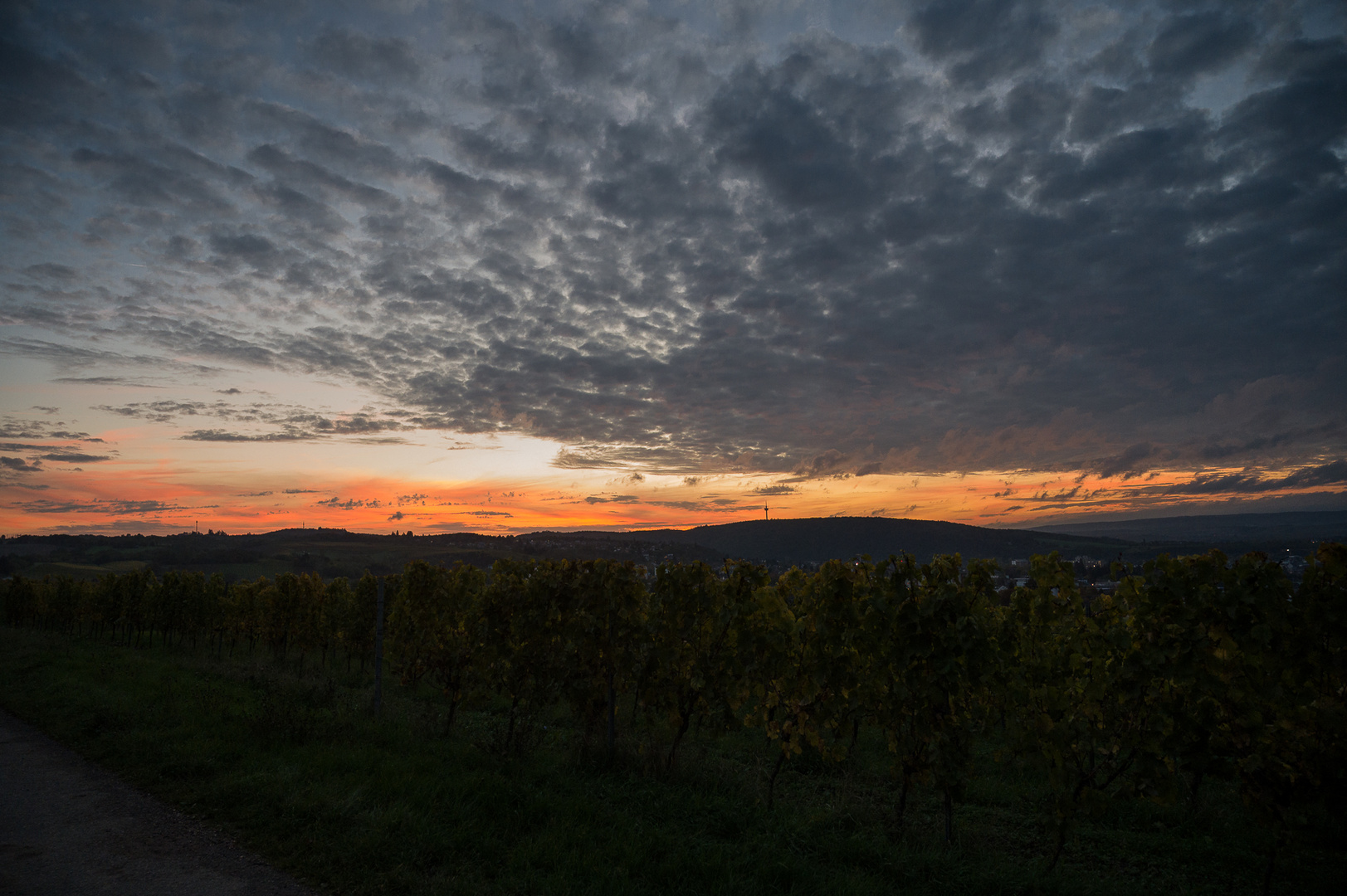 kurz vor Sonnenuntergang