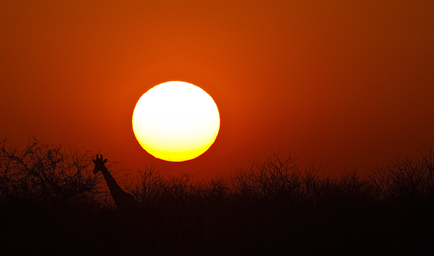 kurz vor Sonnenuntergang