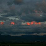 Kurz vor Sonnenuntergang / Freiburg auf dem Tuniberg