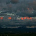 Kurz vor Sonnenuntergang / Freiburg auf dem Tuniberg